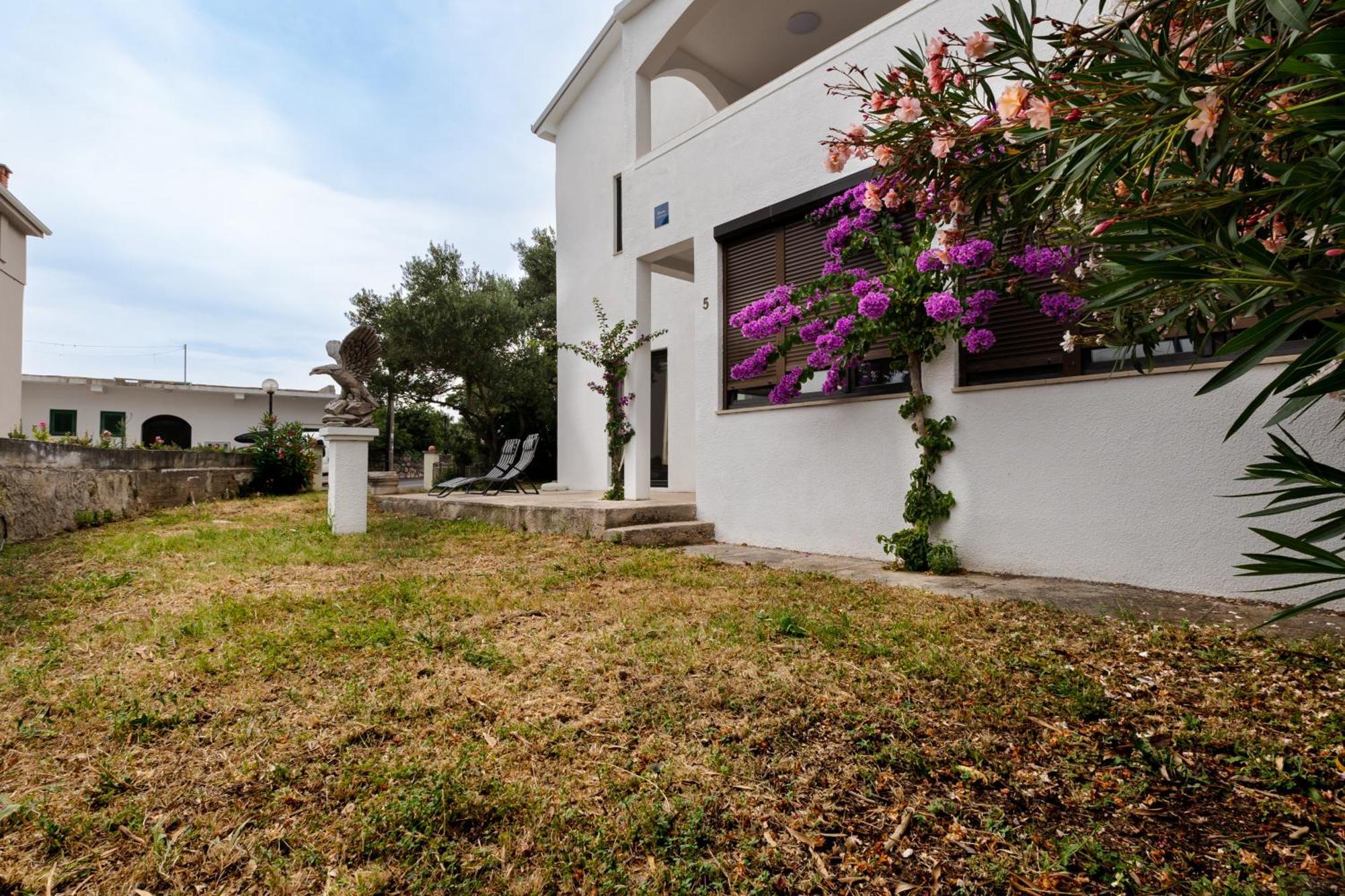 Apartments Dida Sime สตารีกราด-ปาเคลนีซา ภายนอก รูปภาพ